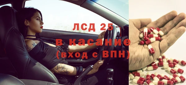 стаф Белоозёрский