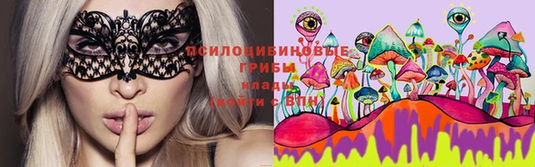 jwh Белокуриха