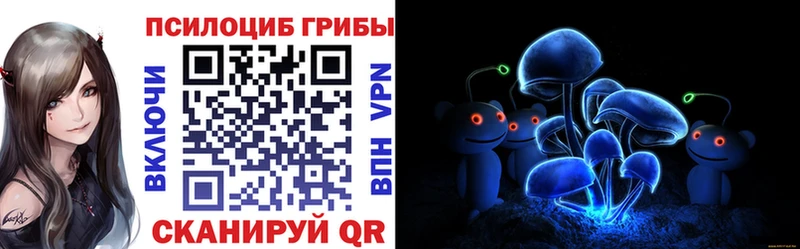 дарнет шоп  MEGA как зайти  Галлюциногенные грибы Cubensis  Острогожск 